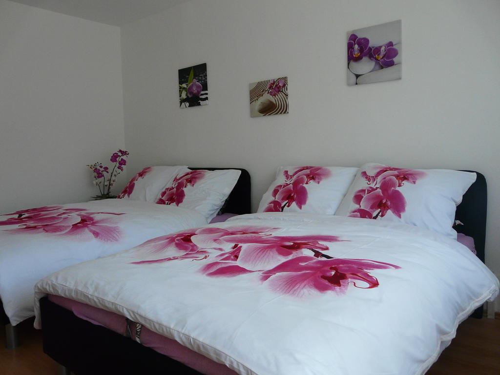 Apartment Fialka Olomouc Oda fotoğraf